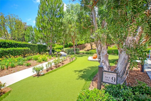 1 Corte Sagrada, San Clemente, CA 92673 - photo 32