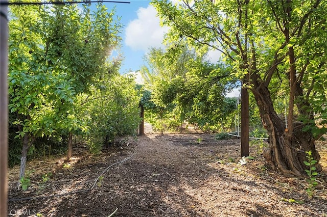 2848 Marigold Ave, Chico, CA 95973 - photo 47
