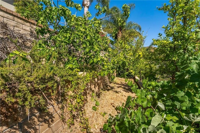 22229 Evening Star Ct, Saugus, CA 91390 - photo 61