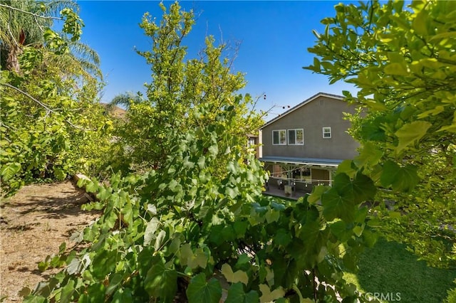 22229 Evening Star Ct, Saugus, CA 91390 - photo 60