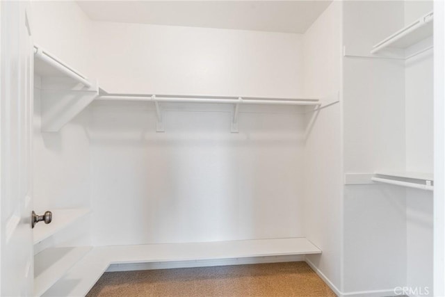 391 Franciscan Way, Oceanside, CA 92057 - view of spacious closet