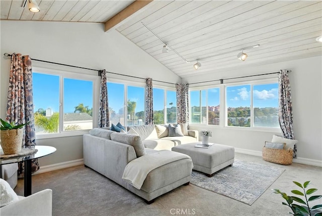 34145 Calle Ln, Primavera, Dana Point, CA 92629 - photo 19