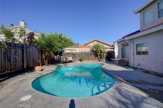 1166 Labrador Ct, Newman, CA 95360 - view of swimming pool with a patio and a fenced backyard