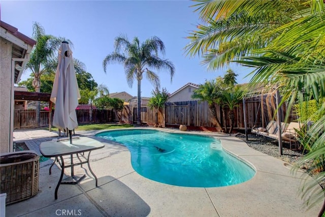 1166 Labrador Ct, Newman, CA 95360 - view of pool with a patio area and a fenced backyard