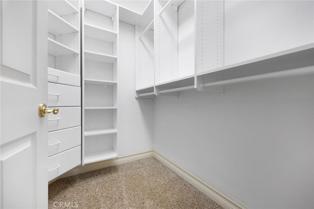 8905 Saint Cloud Ln, Bakersfield, CA 93311 - walk in closet featuring carpet flooring
