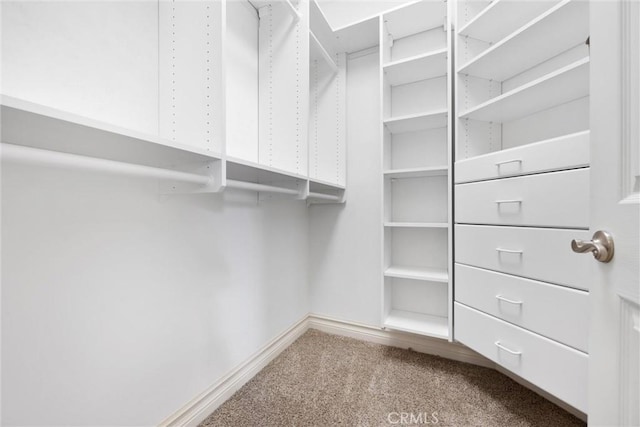 8905 Saint Cloud Ln, Bakersfield, CA 93311 - spacious closet featuring carpet floors