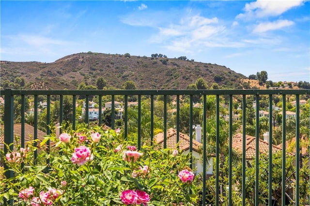 3703 Calle Jazmin, Calabasas, CA 91302 - photo 30