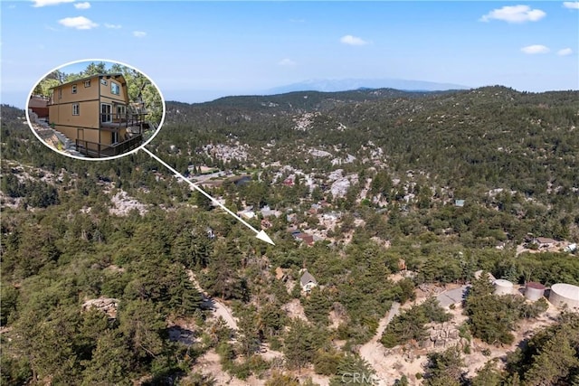 33475 Music Camp Rd, Arrowbear, CA 92382 - photo 39