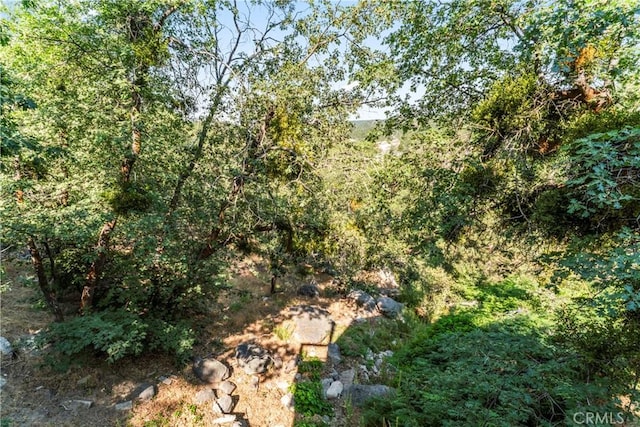 33475 Music Camp Rd, Arrowbear, CA 92382 - photo 33
