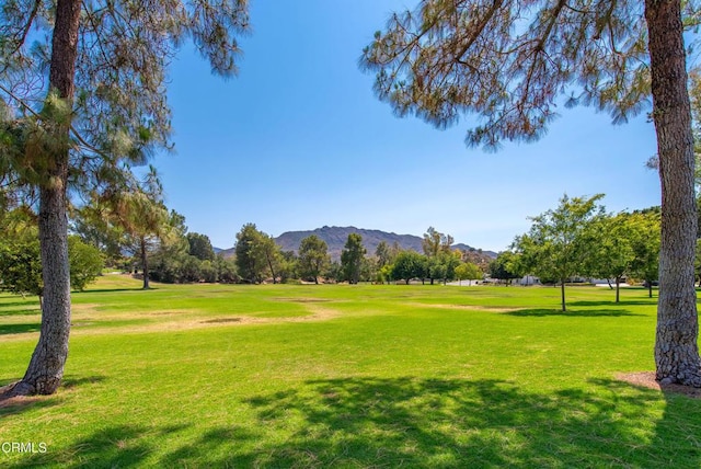 28763 Conejo View Dr, Agoura Hills, CA 91301 - photo 39