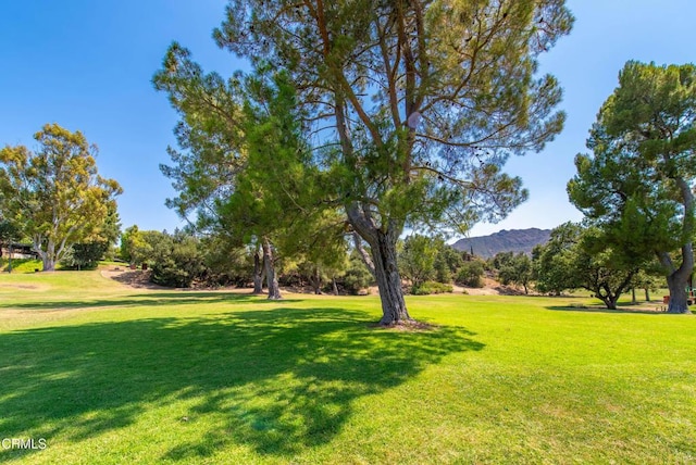 28763 Conejo View Dr, Agoura Hills, CA 91301 - photo 42