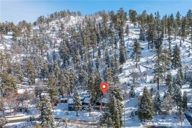 1007 Knickerbocker Rd, Big Bear Lake, CA 92315 - photo 4