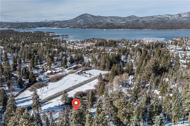 1007 Knickerbocker Rd, Big Bear Lake, CA 92315 - photo 5