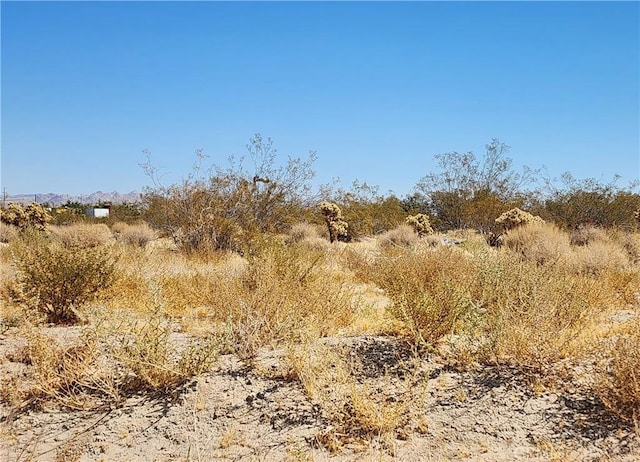 509 Baker Rd, Lucerne Valley, CA 92356 - photo 1