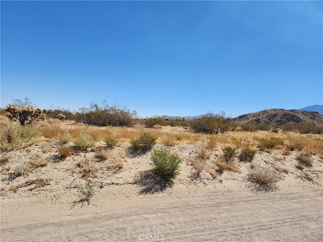 509 Baker Rd, Lucerne Valley, CA 92356 - photo 3