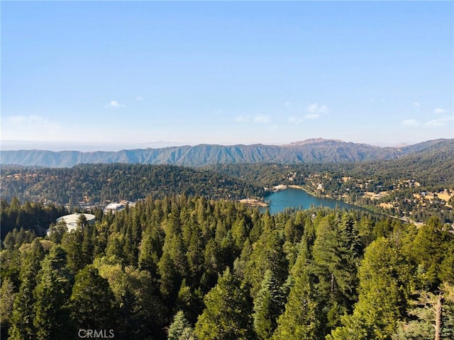 24251 Great View Dr, Crestline, CA 92325 - photo 12