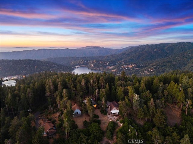 24251 Great View Dr, Crestline, CA 92325 - photo 7