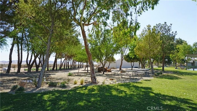 0 Maui Rd, Newberry Springs, CA 92365 - photo 12