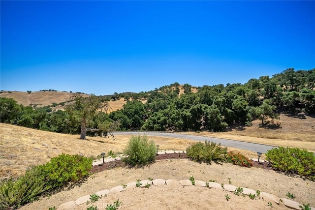 9805 Steelhead Rd, Paso Robles, CA 93446 - photo 20