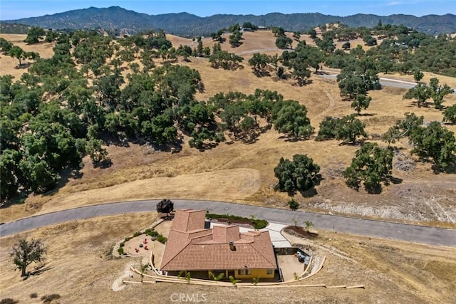 9805 Steelhead Rd, Paso Robles, CA 93446 - photo 48