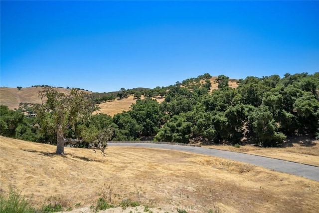 9805 Steelhead Rd, Paso Robles, CA 93446 - photo 21