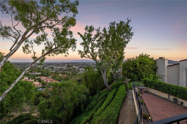 1610 Via Estrella, Pomona, CA 91768 - exterior space