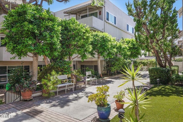 395 S Oakland Ave Unit 204, Pasadena, CA 91101 - photo 3