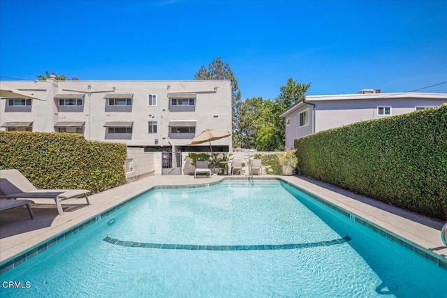395 S Oakland Ave Unit 204, Pasadena, CA 91101 - photo 30