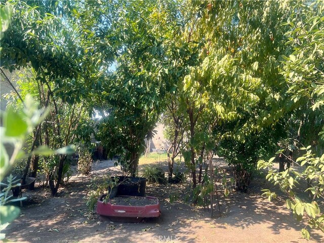 1354 N Arrowhead Ave, San Bernardino, CA 92405 - photo 5
