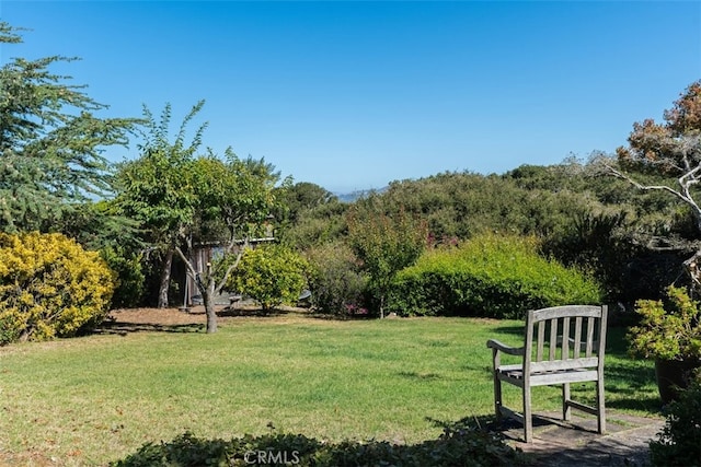 1960 Andre Ave, Los Osos, CA 93402 - photo 49