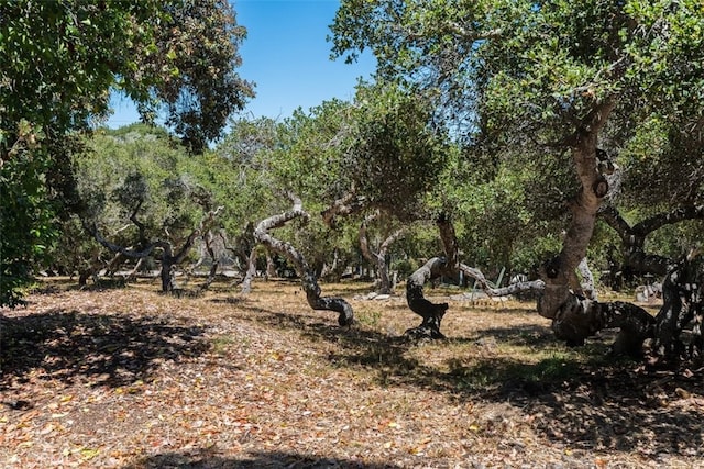 1960 Andre Ave, Los Osos, CA 93402 - photo 45