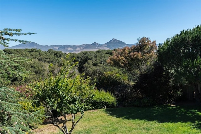 1960 Andre Ave, Los Osos, CA 93402 - photo 50