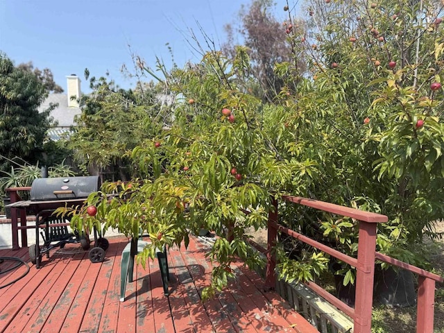 1826 Via Cuarto, Oceanside, CA 92056 - wooden terrace with grilling area