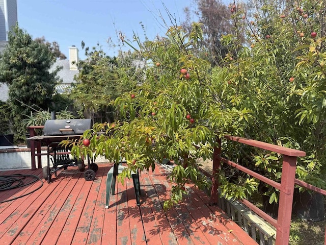 1826 Via Cuarto, Oceanside, CA 92056 - wooden deck with grilling area