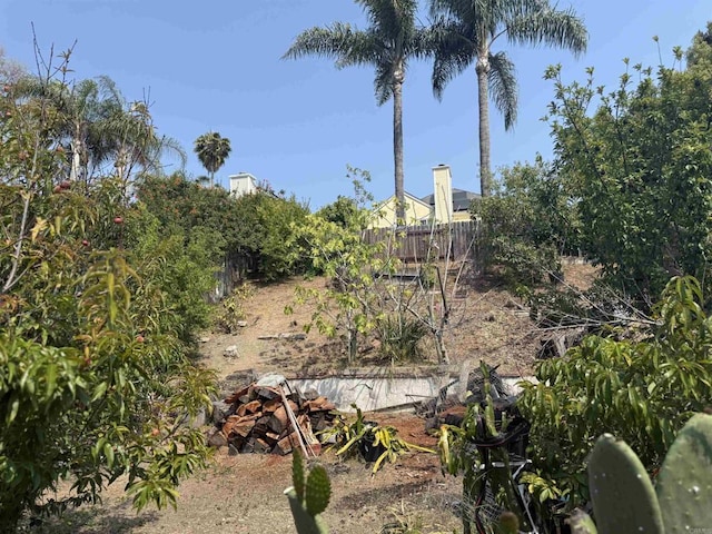 1826 Via Cuarto, Oceanside, CA 92056 - view of yard