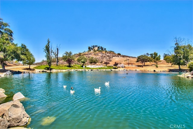 33310 Homestead Ln, Wildomar, CA 92595 - photo 47