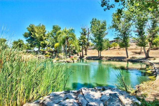 33310 Homestead Ln, Wildomar, CA 92595 - photo 39