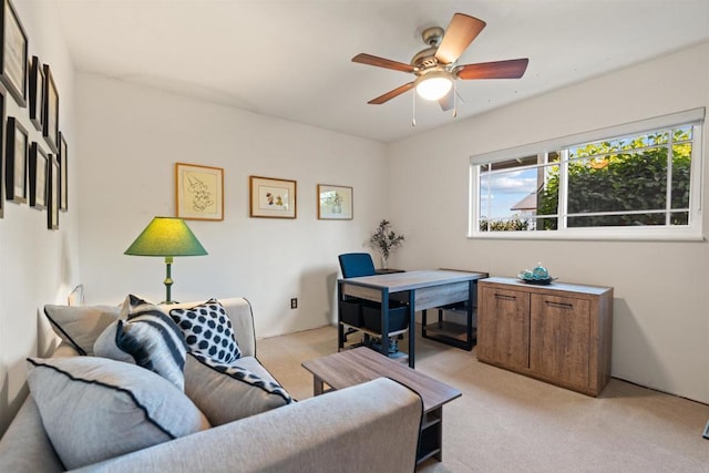 425 E Dougherty St, Fallbrook, CA 92028 - photo 16