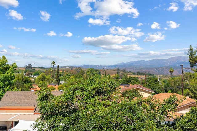 425 E Dougherty St, Fallbrook, CA 92028 - photo 3
