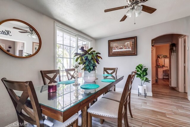 12121 Hermosura St, Norwalk, CA 90650 - photo 19