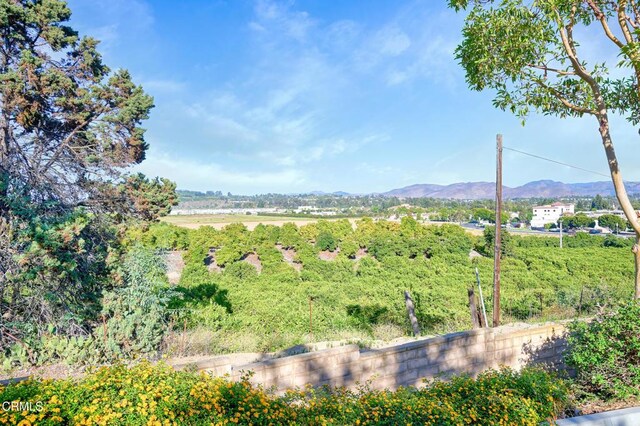 2913 Antonio Dr Unit 108, Camarillo, CA 93010 - photo 20