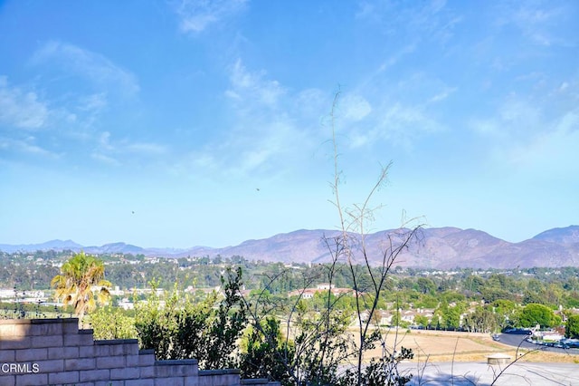 2913 Antonio Dr Unit 108, Camarillo, CA 93010 - photo 21