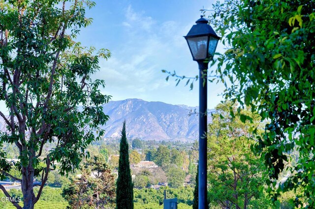 2913 Antonio Dr Unit 108, Camarillo, CA 93010 - photo 22