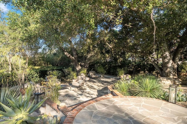1370 Hillcrest Ave, Pasadena, CA 91106 - view of patio with view of wooded area