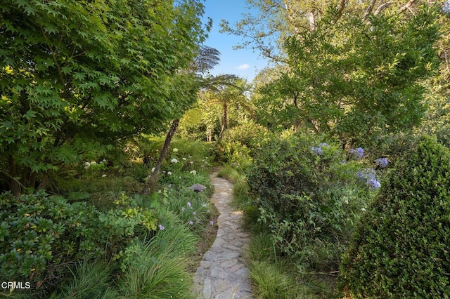 1370 Hillcrest Ave, Pasadena, CA 91106 - view of nature