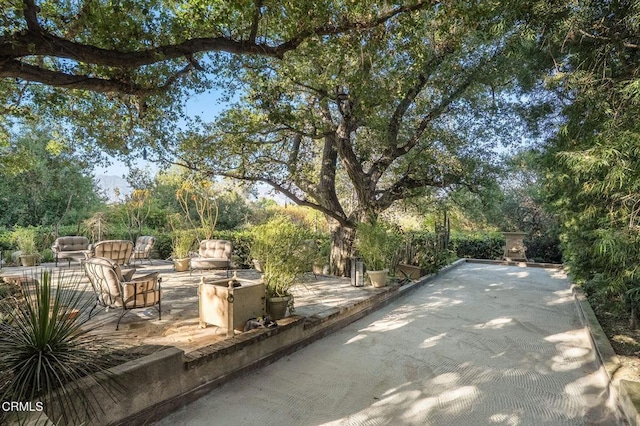 1370 Hillcrest Ave, Pasadena, CA 91106 - view of home's community with view of wooded area
