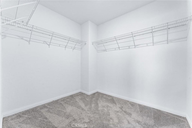 14053 Spurlock Ln Unit 3, Gardena, CA 90247 - walk in closet featuring carpet