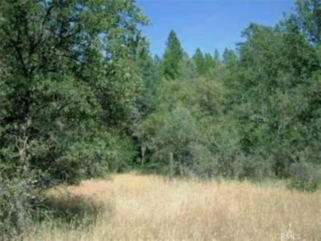 47 Texas Hill Rd, Oregon House, CA 95962 - photo 7