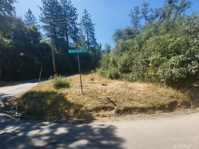 47 Texas Hill Rd, Oregon House, CA 95962 - photo 4