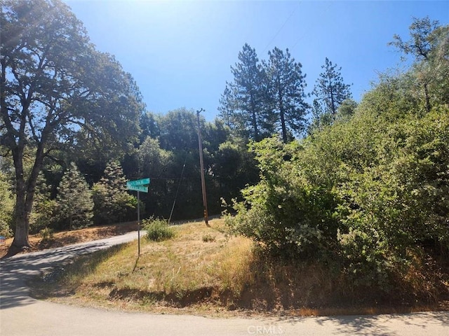 47 Texas Hill Rd, Oregon House, CA 95962 - photo 1
